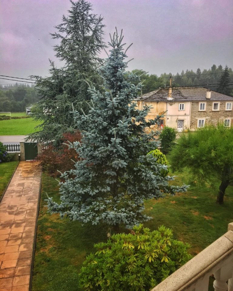 11°C at my parent’s house @ Sobrado de Picato #pics