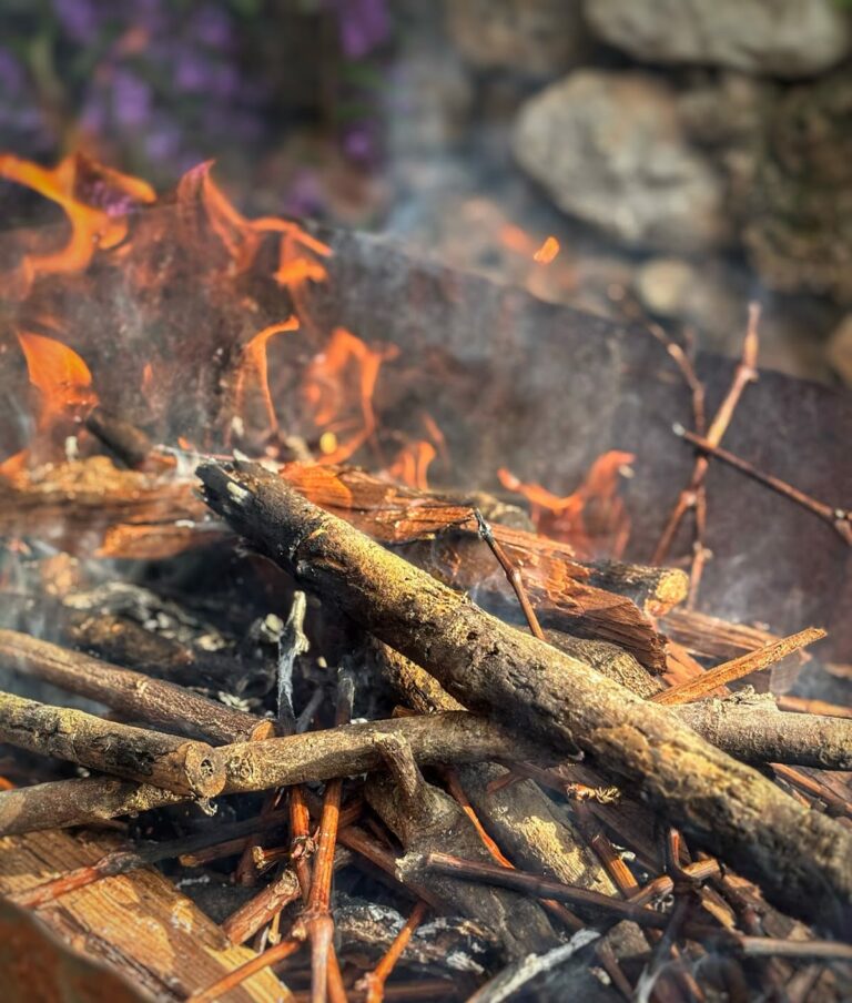 Calçotada @ St. Quintí de Mediona