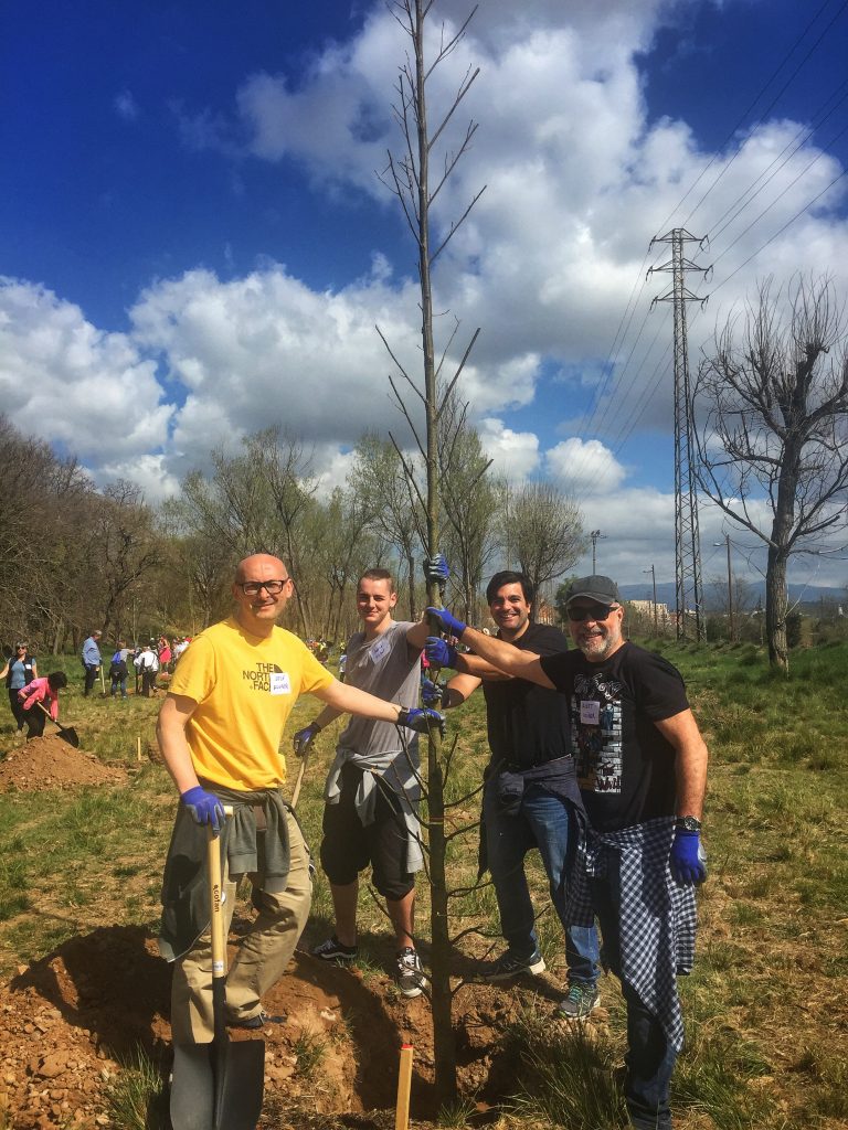 170 trees @ Parets