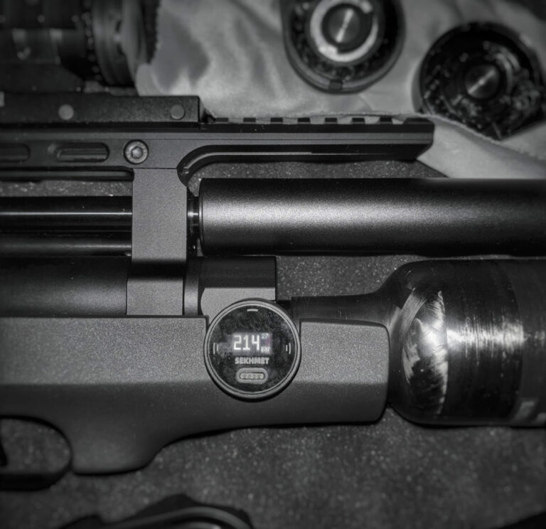Wildcat .22